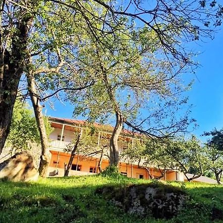 Mushkudiani Manor Hotel Местия Екстериор снимка