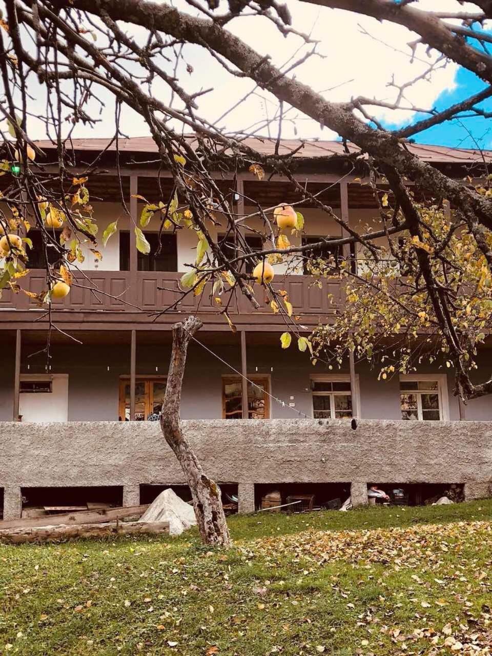 Mushkudiani Manor Hotel Местия Екстериор снимка